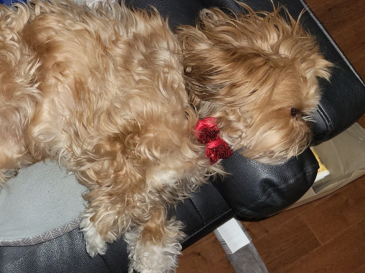 Post-holiday Recovery