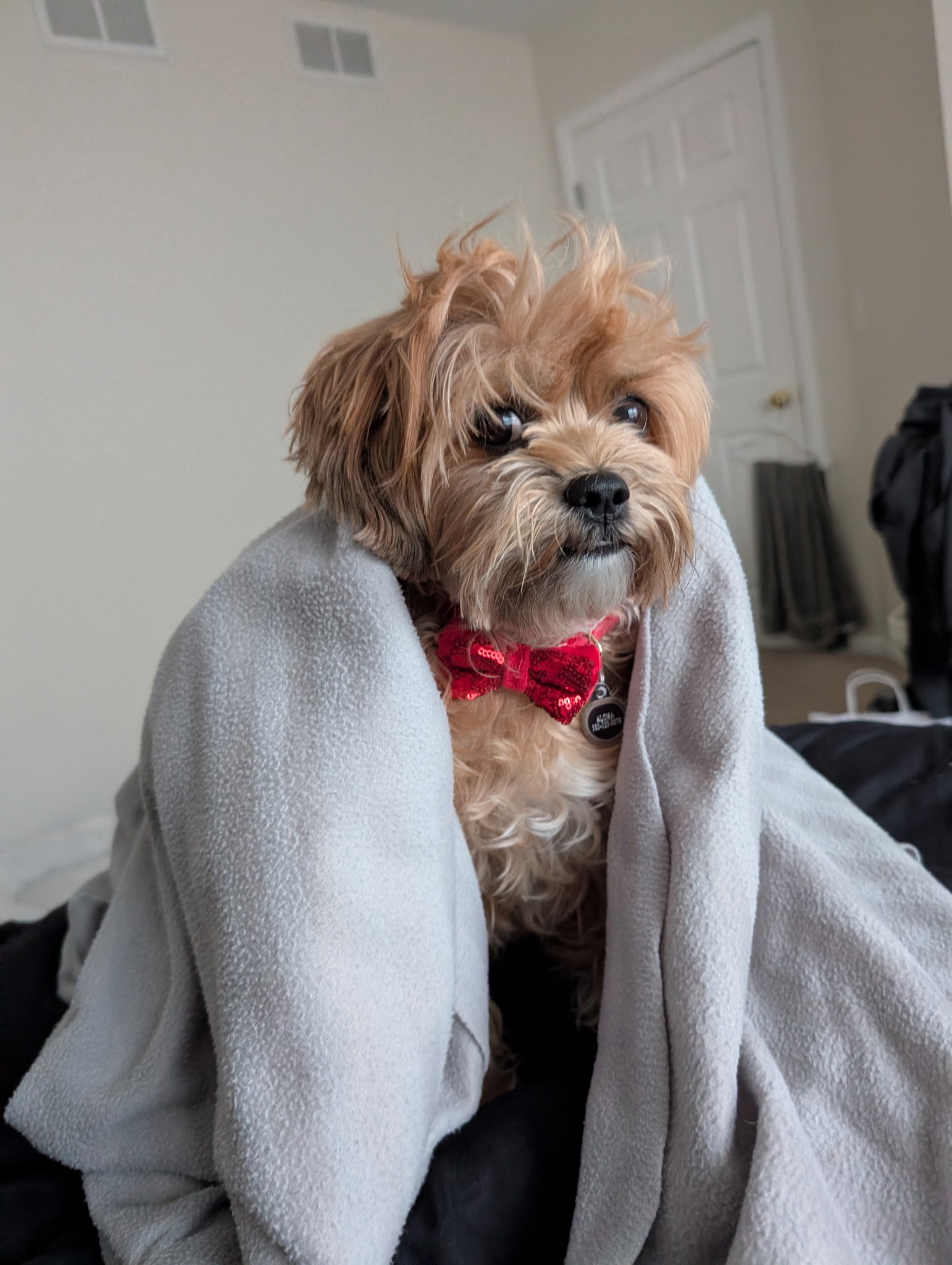 Feeling Better but Still Recovering