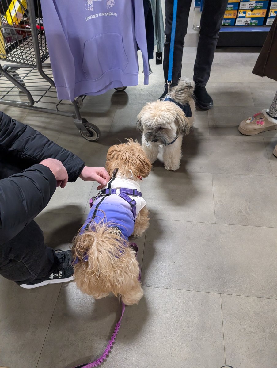 My new friend called Milo