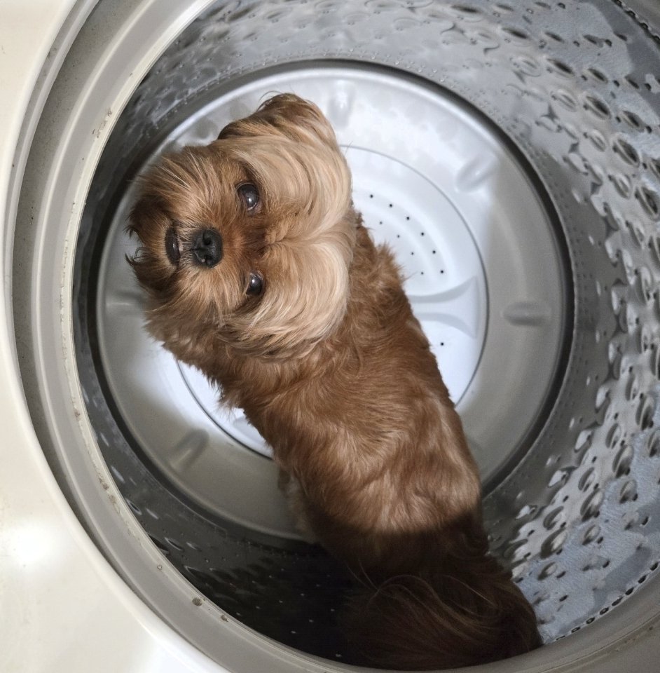 Stuck in a Washer