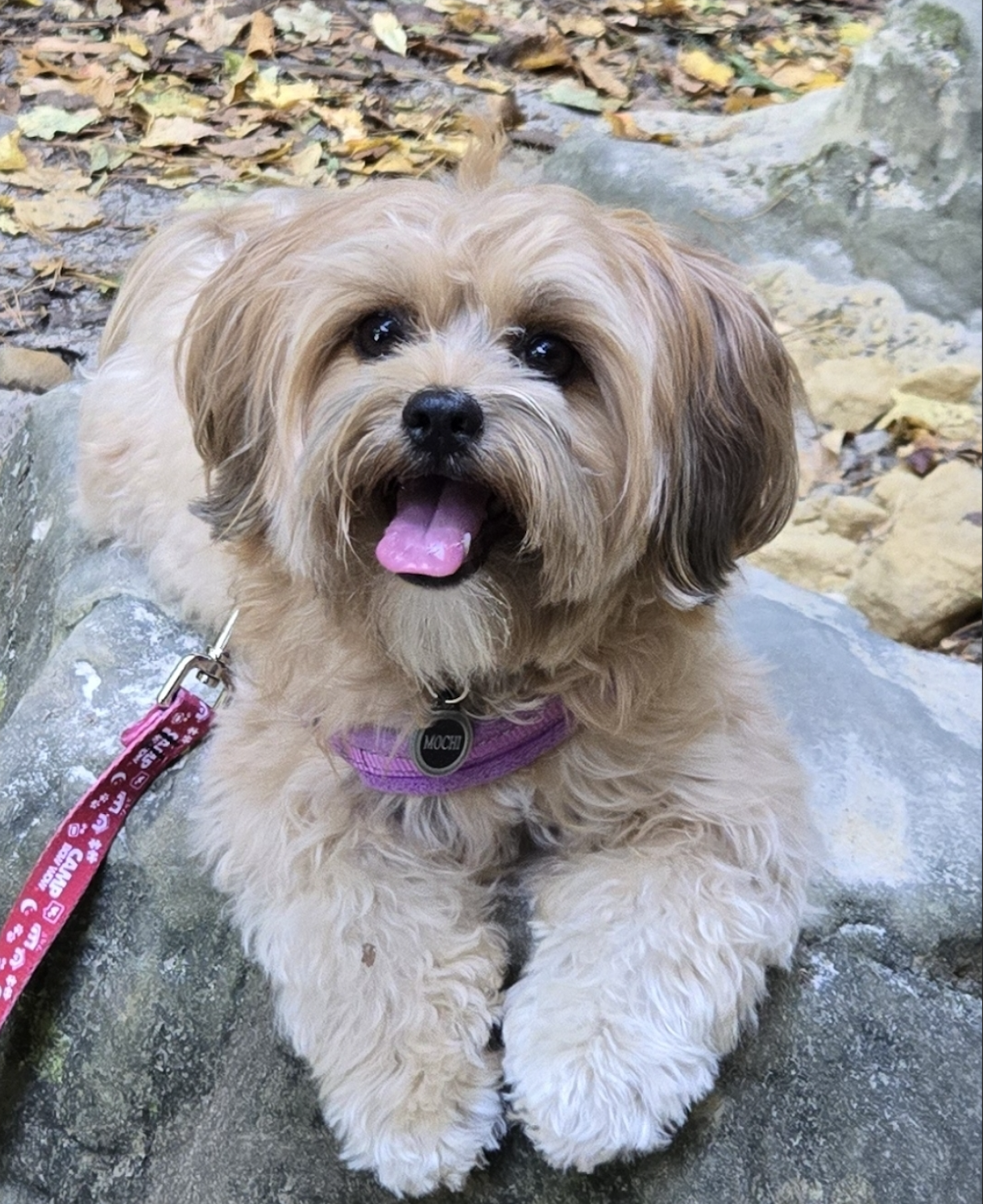 I Wear My Hiking Shoes