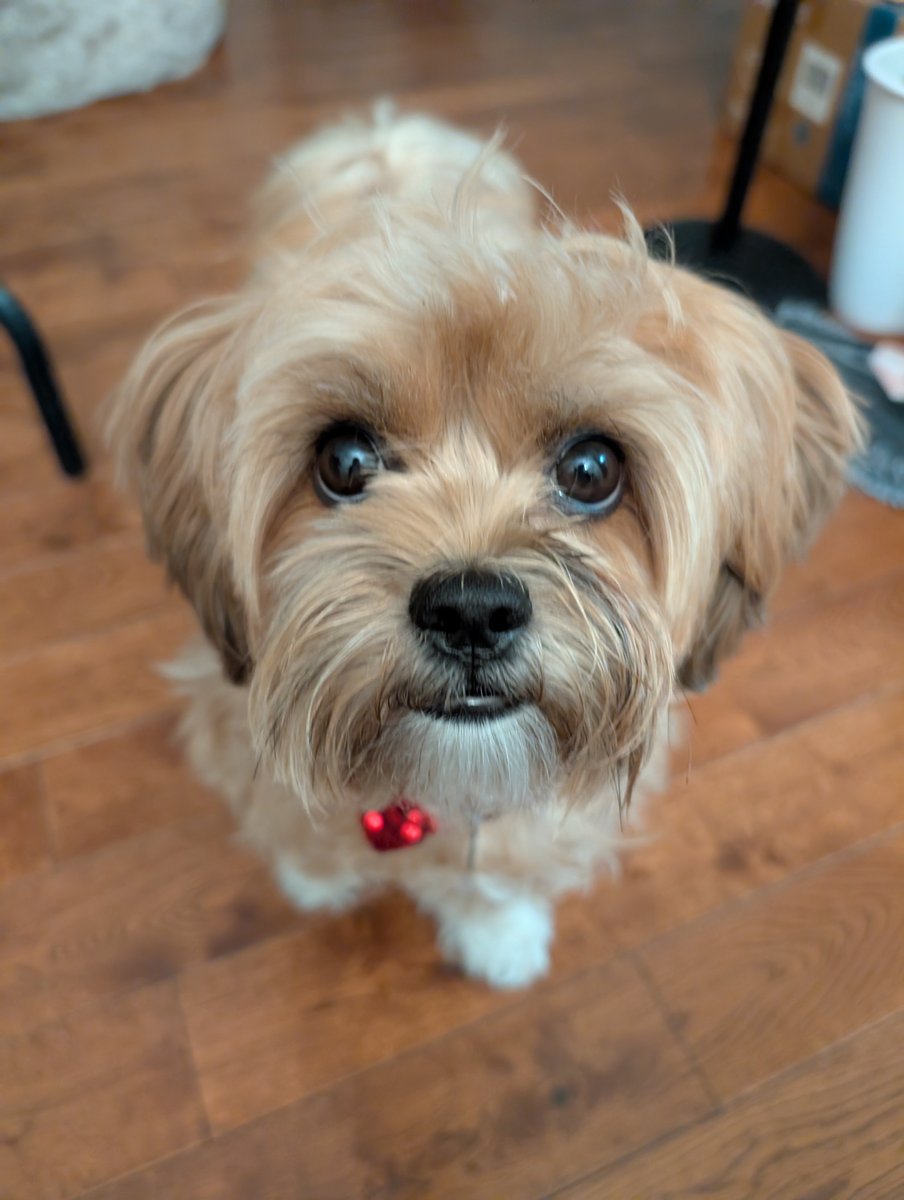 The Code — Yeah, I Cracked It